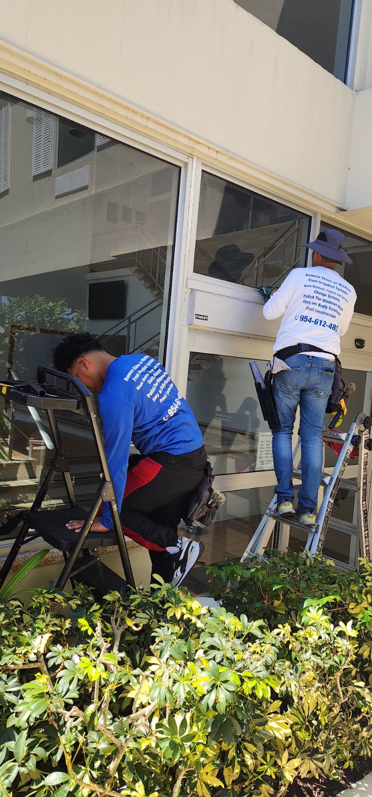 Detail Window Cleaners project photo 13
